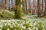 Весна - красивые картинки (100 фото) • Прикольные картинки и позитив